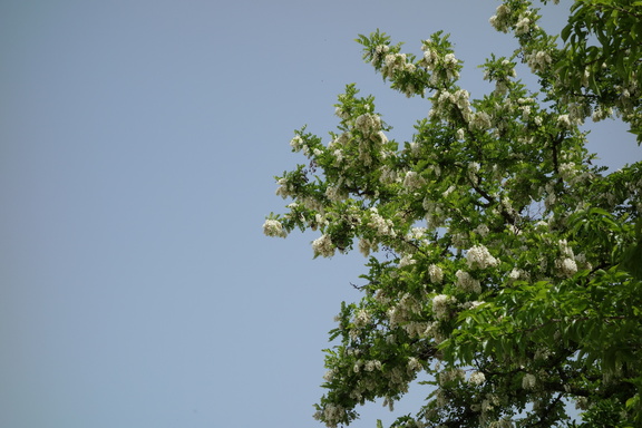 20130501 121455